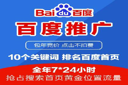 某某SEM团队成功提升网站流量与转化率的实战经验